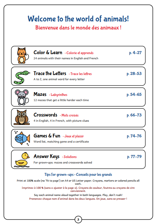 Animal Fun Activity eBook A4